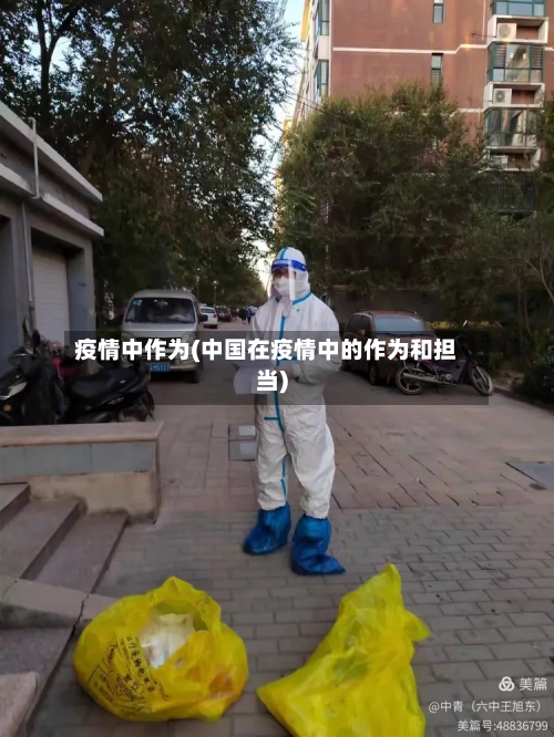 疫情中作为(中国在疫情中的作为和担当)