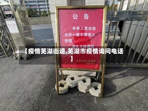 【疫情芜湖街道,芜湖市疫情询问电话】