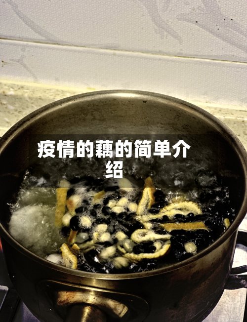 疫情的藕的简单介绍