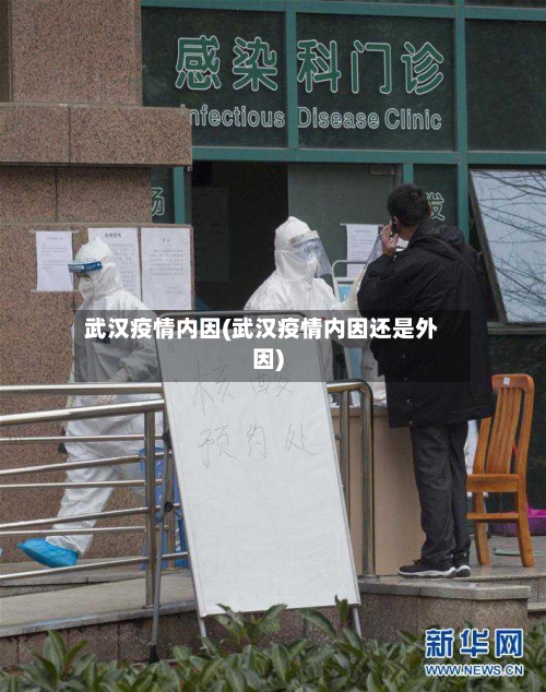 武汉疫情内因(武汉疫情内因还是外因)