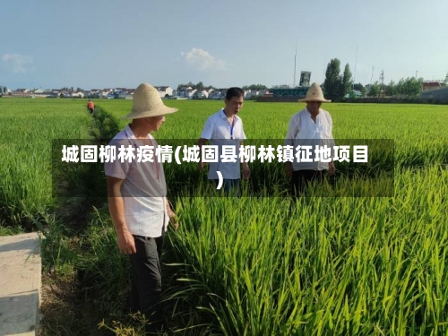 城固柳林疫情(城固县柳林镇征地项目)