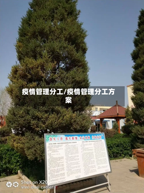 疫情管理分工/疫情管理分工方案
