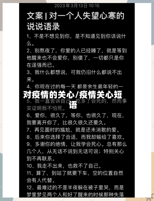 对疫情的关心/疫情关心短语