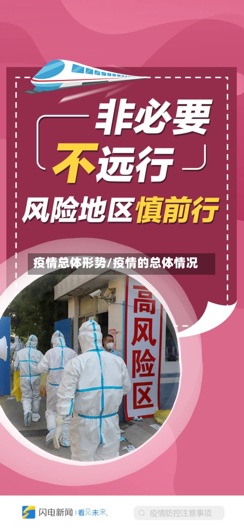 疫情总体形势/疫情的总体情况