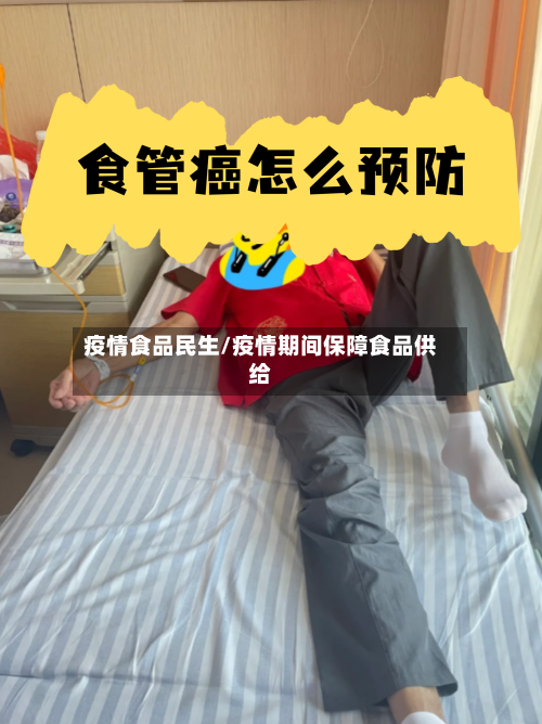 疫情食品民生/疫情期间保障食品供给