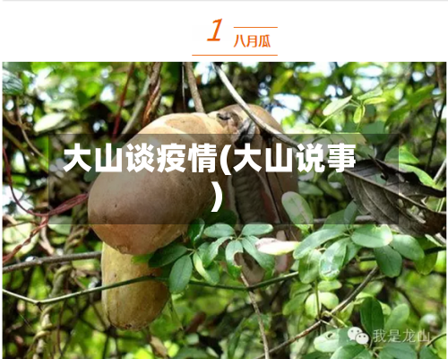 大山谈疫情(大山说事)