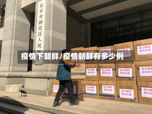 疫情下朝鲜/疫情朝鲜有多少例