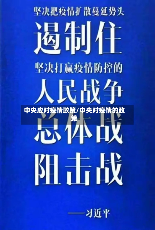 中央应对疫情政策/中央对疫情的政策
