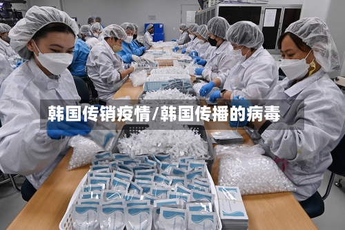 韩国传销疫情/韩国传播的病毒