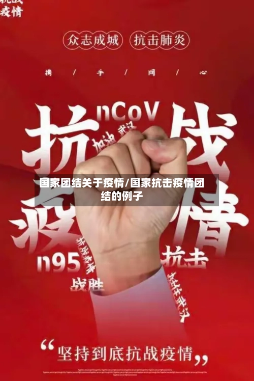 国家团结关于疫情/国家抗击疫情团结的例子